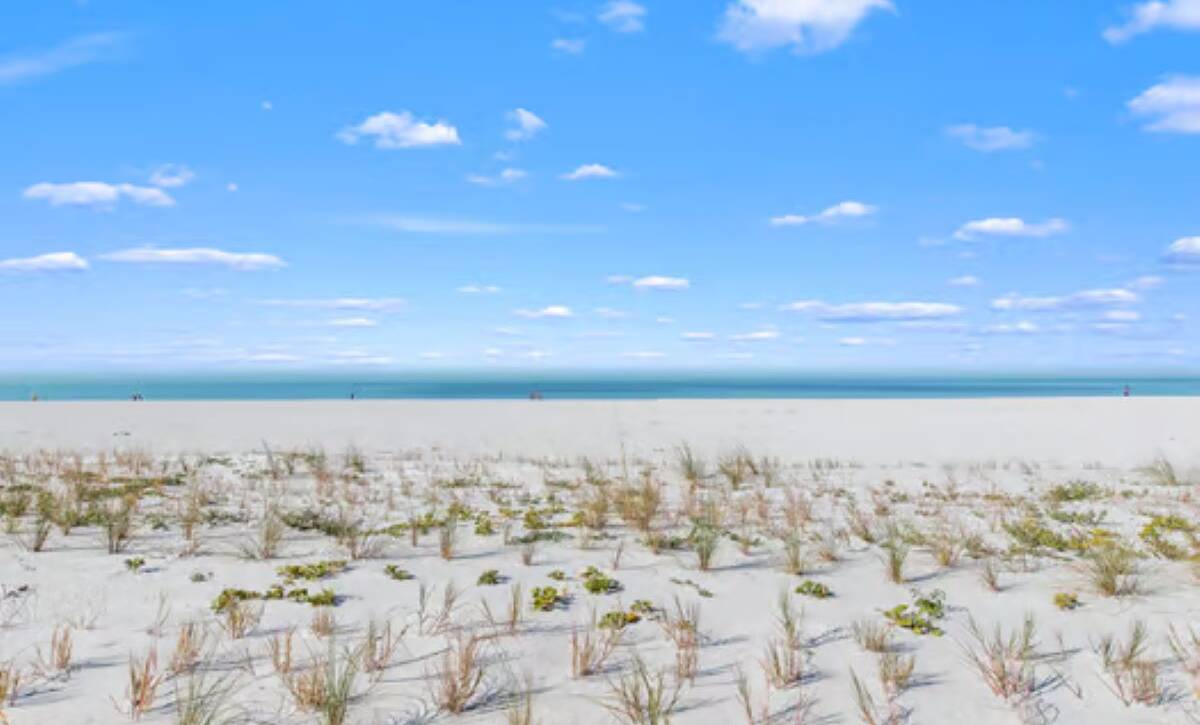 large-019c4d74-a357-7157-a60e-6e612f51d7c8