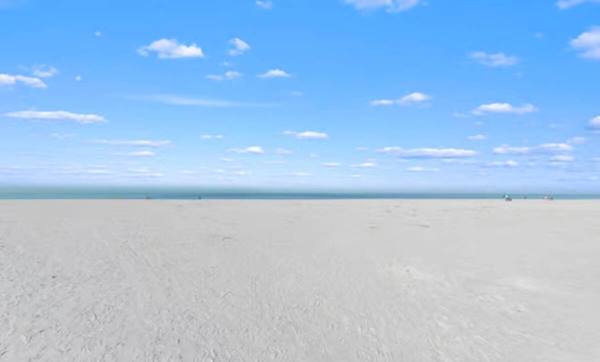 large-019c4d74-a409-7335-9be8-51c0f30eed22