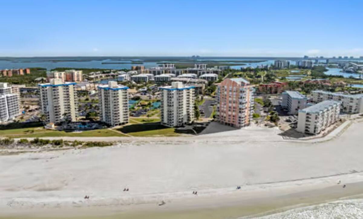 large-019c4dae-2739-7242-9746-f23249f19b0f (1)