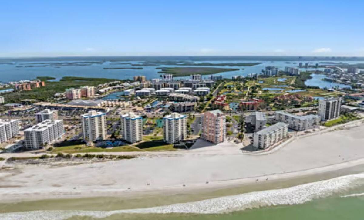 large-019c4dae-2787-70e3-92ca-95c564def0b4 (1)