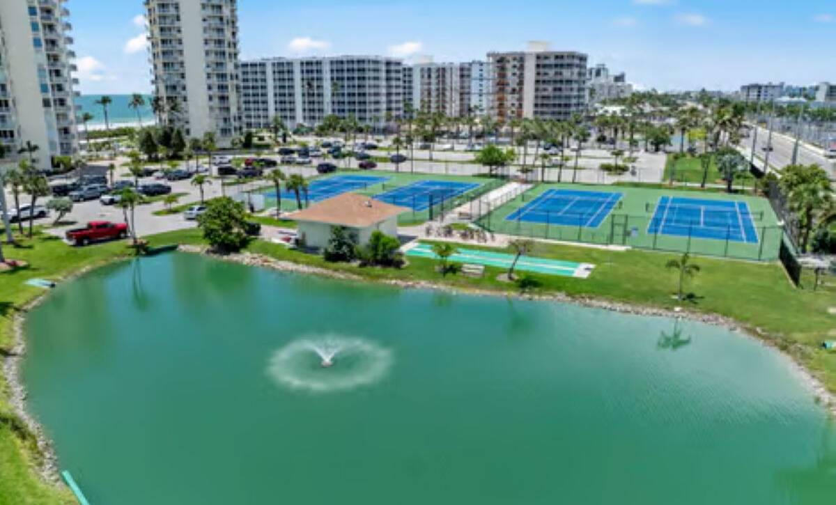 large-019c5df4-633a-713e-aa86-3c32a4a8c29b