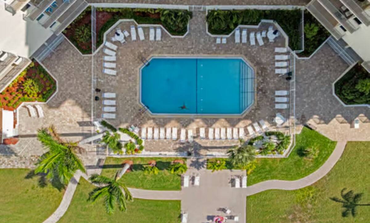 large-019c5df4-6428-7294-887c-d2ae75ecb8a9