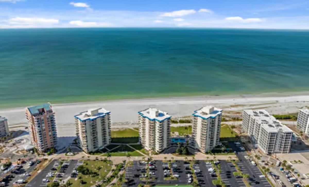 large-019c5df4-646f-71cd-a9c6-0d60f239eb4f