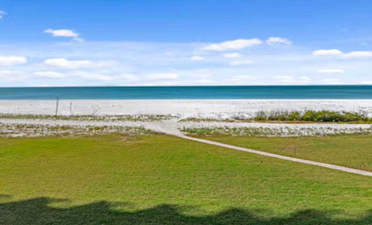 large-019c5df4-650d-7194-8b2e-cdd54ce8aac8