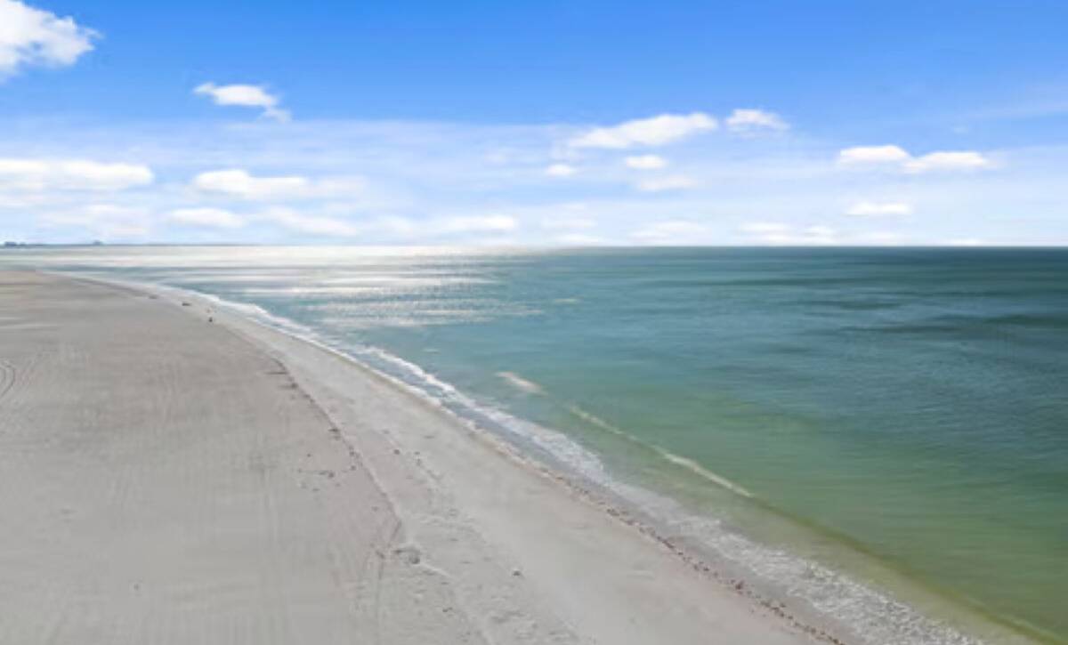 large-019c5df4-65d9-7312-9c02-1c0c7f7d01ed